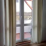 ,,rokytka